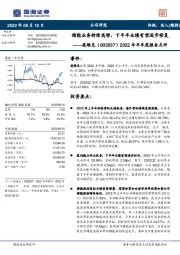 2022年半年度报告点评：储能业务持续高增，下半年业绩有望逐步修复