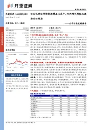 公司信息更新报告:信息化建设持续推进精益化生产,利润增长超股权激励目标预期
