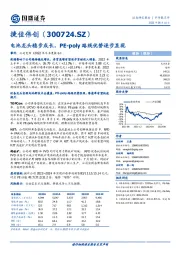 电池龙头稳步成长，PE-poly路线优势逐步显现