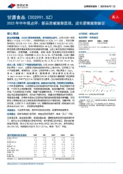 2022年半年报点评：新品贡献逐渐显现，成长逻辑逐渐验证