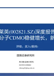 深度报告：研发驱动，小分子CDMO稳健增长，新业务逐渐成型