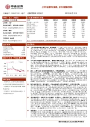 上半年业绩符合预期,全年有望稳定增长