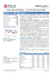 22Q2营收逆势增长，压力下彰显龙头韧性