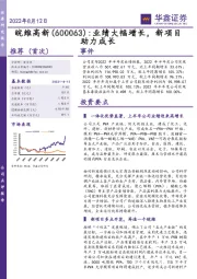 业绩大幅增长,新项目助力成长