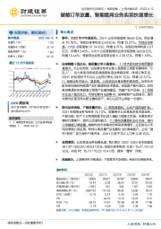 储能订单放量，智能缆网业务实现快速增长