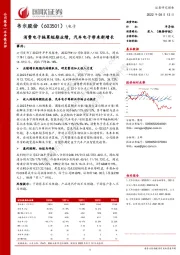 消费电子拖累短期业绩,汽车电子带来新增长