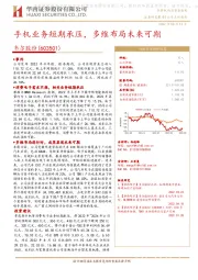 手机业务短期承压,多维布局未来可期