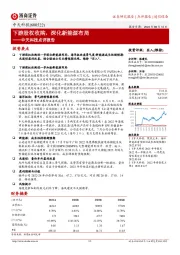 中天科技点评报告:下游股权收购,深化新能源布局