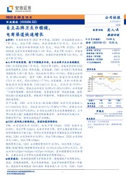 自主品牌卫生巾稳健，电商渠道快速增长