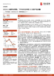 跟踪报告之十一：2022H1业绩符合预期，下半年关注车载CIS及新产品放量