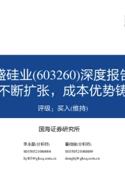 深度报告：硅业巨头不断扩张，成本优势铸造护城河