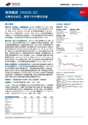 业绩有所承压，期待下半年需求改善