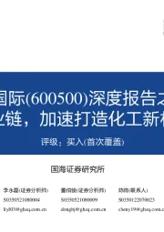 深度报告之一:聚焦核心产业链,加速打造化工新材料领先企业