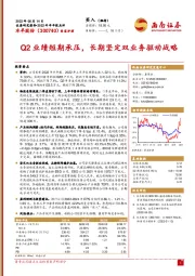 2022年半年报点评：Q2业绩短期承压，长期坚定双业务驱动战略