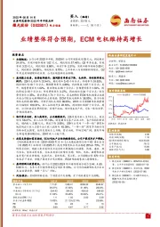 2022年半年报点评：业绩整体符合预期，ECM电机维持高增长