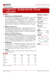 天能股份深度报告:动力铅蓄电池龙头,锂电储能有望成为第二增长曲线