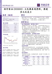 大包装表现亮眼,渠道多元化发力