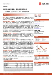 2022年半年报点评:网内业务增长稳健,直流业务蓄势待发