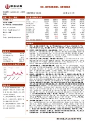 CDMO、制剂带动快速增长，战略转型提速