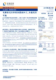 电解铝龙头积极拓展铝加工,业绩成长可期