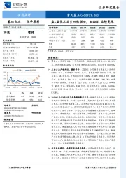 盐+盐化工业务双轮驱动，2022H1业绩亮眼