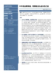 半年报业绩高增，铝模板龙头成长性凸显