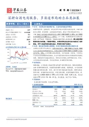 深耕白酒电商服务，多渠道布局助力品类拓展