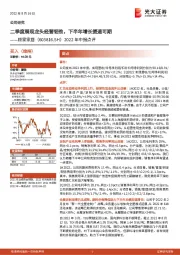 2022年中报点评:二季度展现龙头经营韧劲,下半年增长提速可期