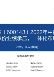 2022年中报点评：原料涨价业绩承压，一体化布局加速