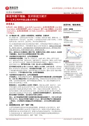 九号公司半年报业绩点评报告：渠道阵痛不掩瑜，技术积淀万树开