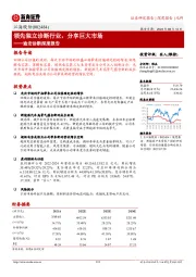 深度报告:领先独立诊断行业,分享巨大市场