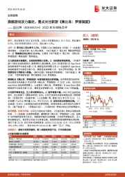 2022年半年报点评：旗舰游戏发力稳定，重点关注新游《奥比岛：梦想国度》