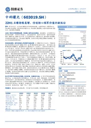 22H1业绩持续高增，信创核心领军价值仍被低估