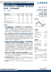 2022年中报点评：业绩超预期，高压直流延续高增，传统领域稳健