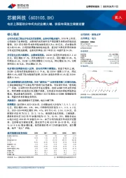 电价上涨驱动分布式光伏业绩大增，积极布局独立储能运营