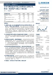 公司与潮宏基合作成立培育钻石品牌公司,布局C端实现产业链上下游打通