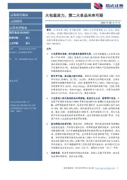 大包装发力,第二大单品未来可期