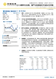 Q2业绩环比加速，国产化和信创打开成长天花板