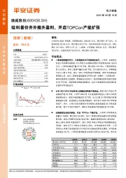 硅料量价齐升推升盈利,开启TOPCon产能扩张