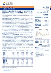 2022H1业绩表现强劲，拟再扩40万吨硅料产能