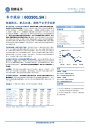 短期承压，新品加速，超级平台步步成型