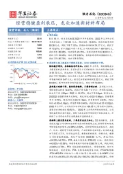 经营稳健盈利承压，龙头加速新材料布局