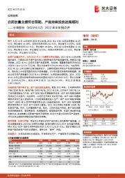 2022年半年报点评：农药放量业绩符合预期，产能持续投放进展顺利