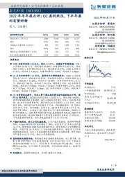 2022年半年报点评:Q2盈利承压,下半年盈利有望好转