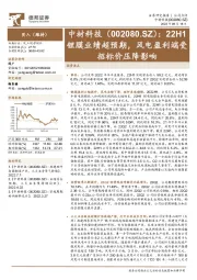 22H1锂膜业绩超预期，风电盈利端受招标价压降影响