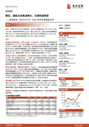 2022年半年度报告点评：微逆、储能业务高速增长，业绩再超预期