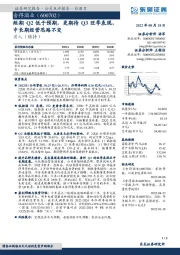 短期Q2低于预期，更期待Q3旺季表现，中长期经营思路不变