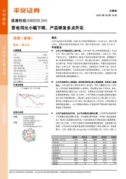 营收同比小幅下降，产品研发多点开花