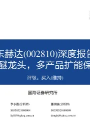 深度报告：国内纤维素醚龙头，多产品扩能保障高速成长