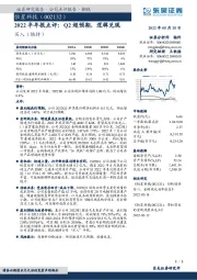 2022半年报点评：Q2超预期，逻辑兑现